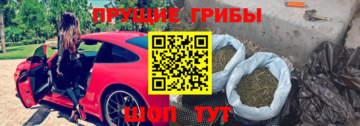 Псилоцибиновые грибы GOLDEN TEACHER Елизово